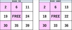 ビンゴ5第482回の予想数字と当選番号の比較表。予想と結果の一致部分が視覚的に確認できる図。